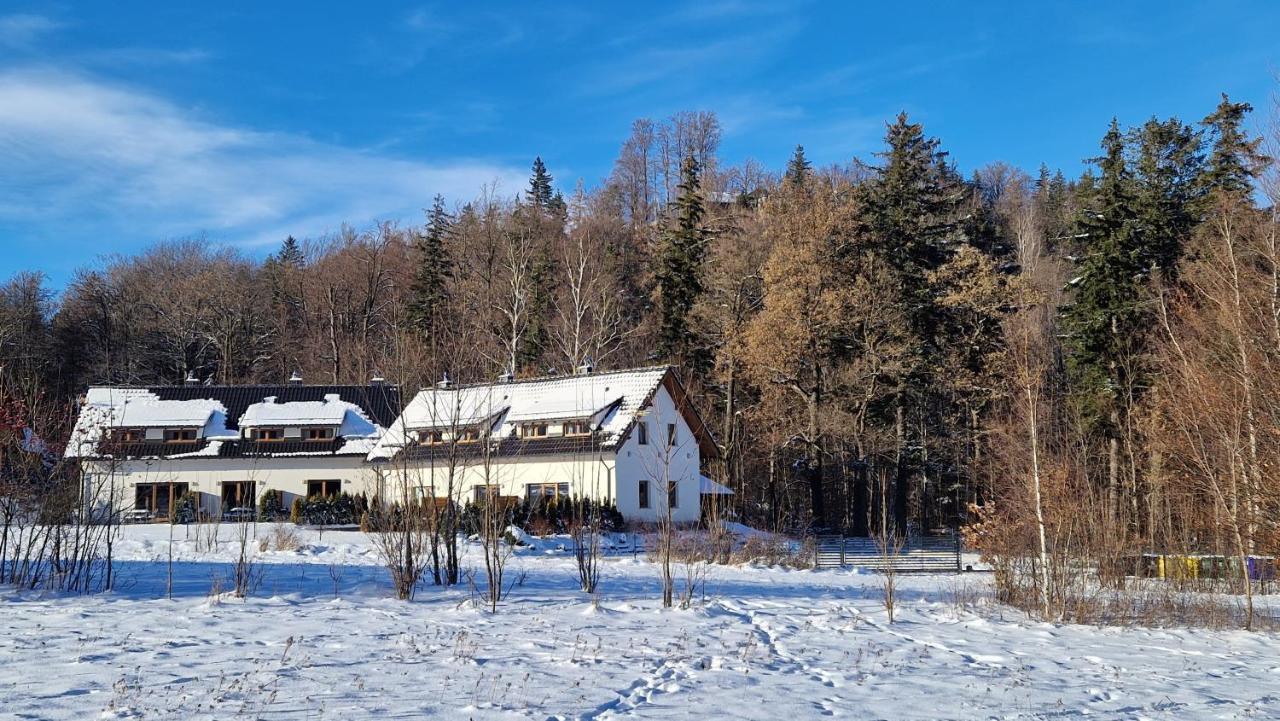 Widokowo - Domki Z Widokiem Na Sniezke Z Jacuzzi I Sauna Karpacz Exterior foto