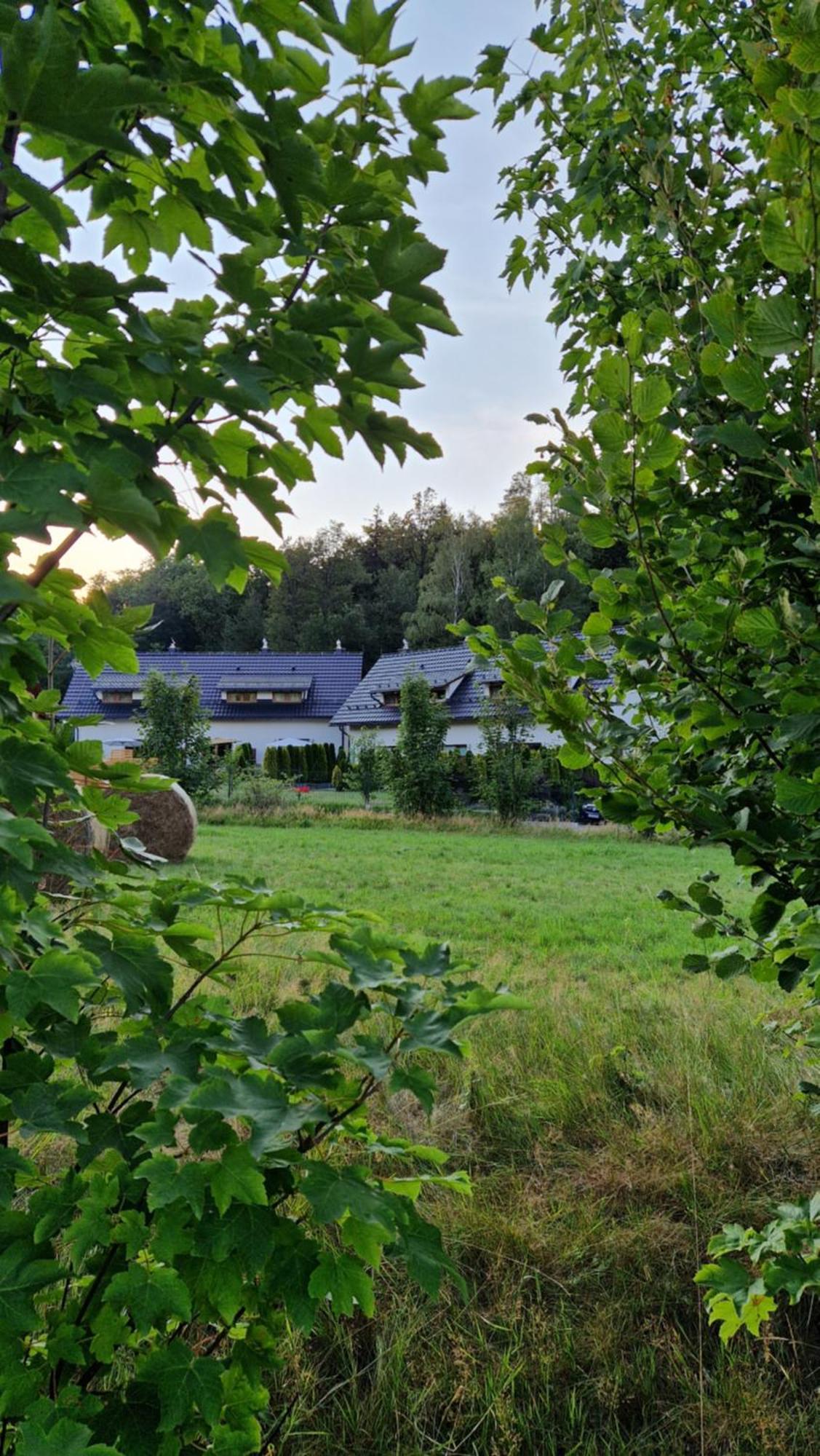 Widokowo - Domki Z Widokiem Na Sniezke Z Jacuzzi I Sauna Karpacz Exterior foto